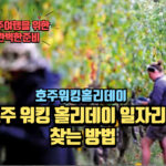 호주워킹홀리데이-일자리