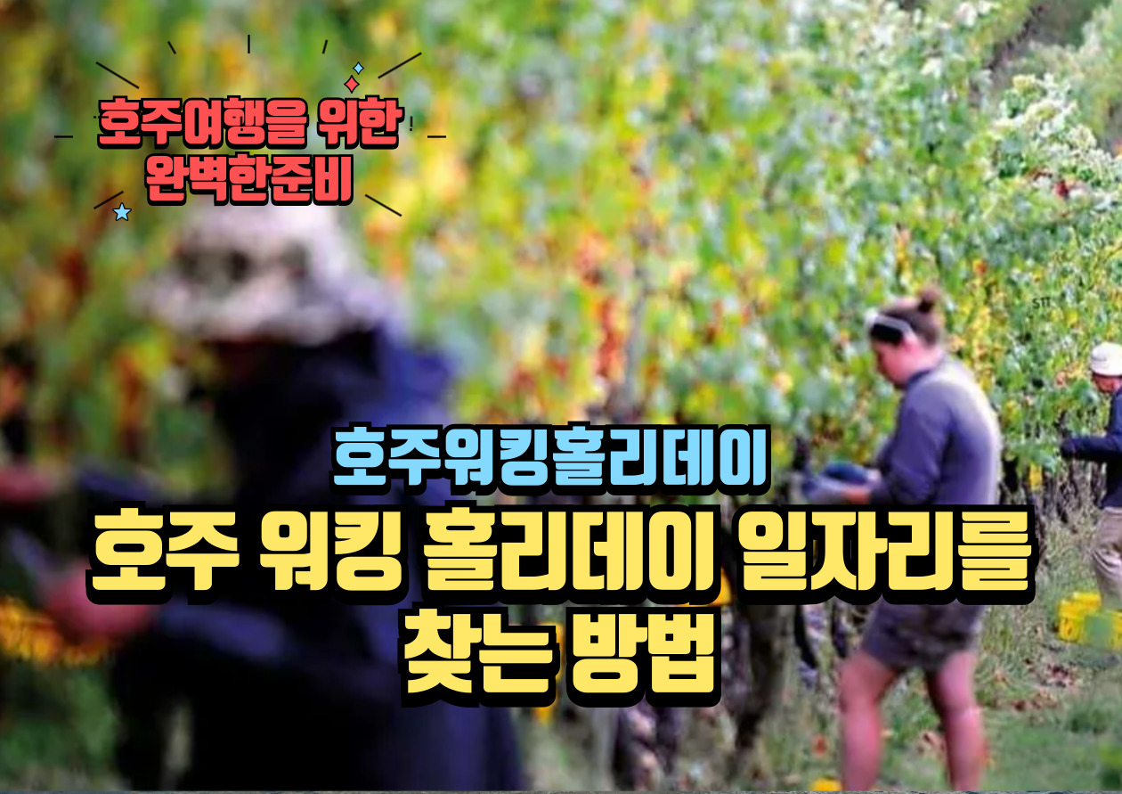호주워킹홀리데이-일자리
